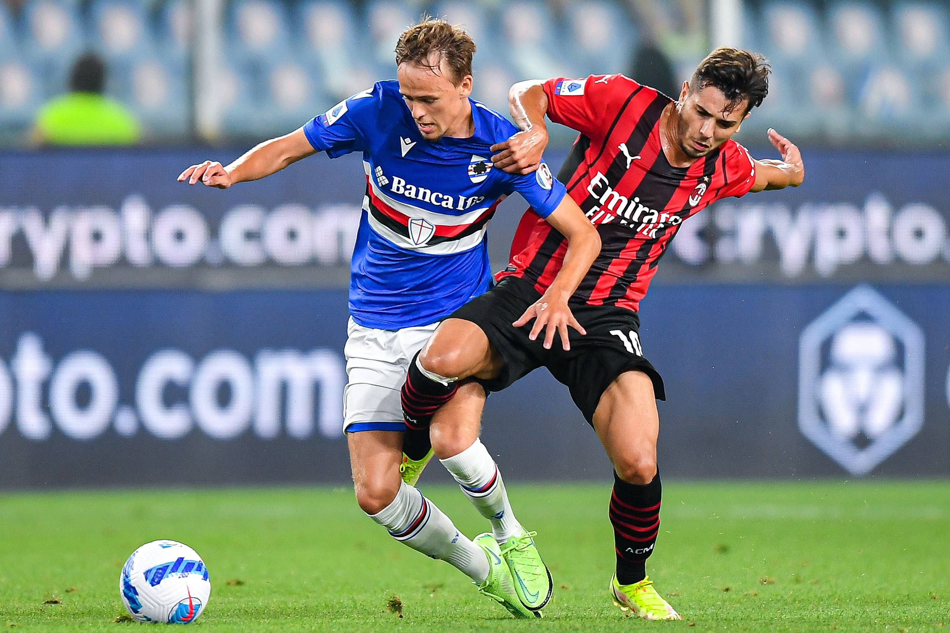 稳定器