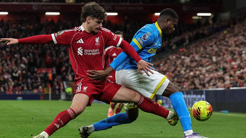 《阴阳师：妖怪屋》欢乐庭院大揭秘